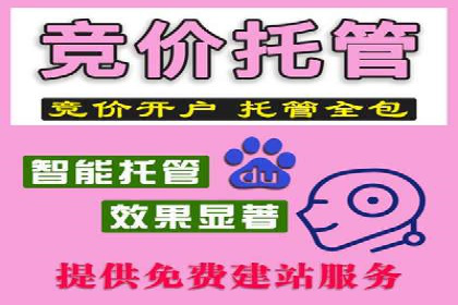 SEM服务托管实战案例分析报告